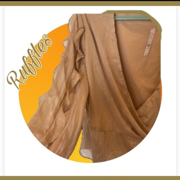 WOMENS BLOUSE ~NY&C~TAN GLITTERY WRAP~LONG SLEEVE BLOUSE~ XXL~NWT - Picture 4 of 8